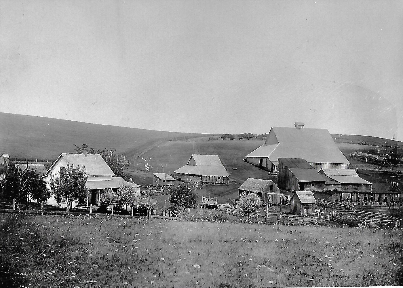 Wilkins Ranch 1918 photo